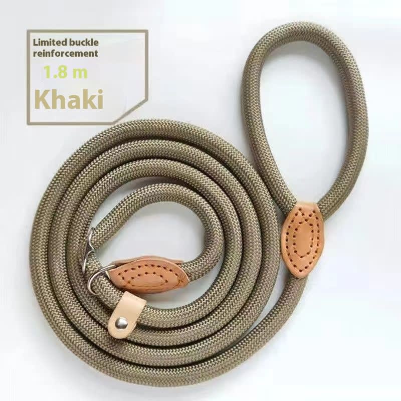 Dog Walking Training Hand Holding Rope view 7