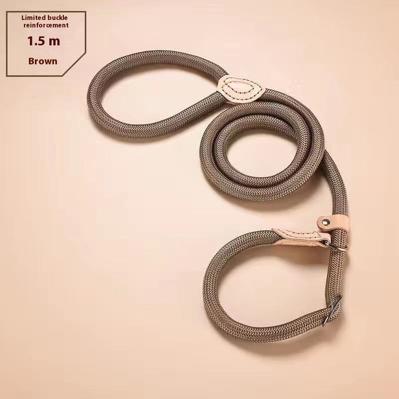 Dog Walking Training Hand Holding Rope view 12