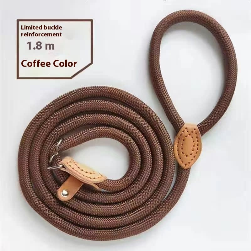 Dog Walking Training Hand Holding Rope view 11
