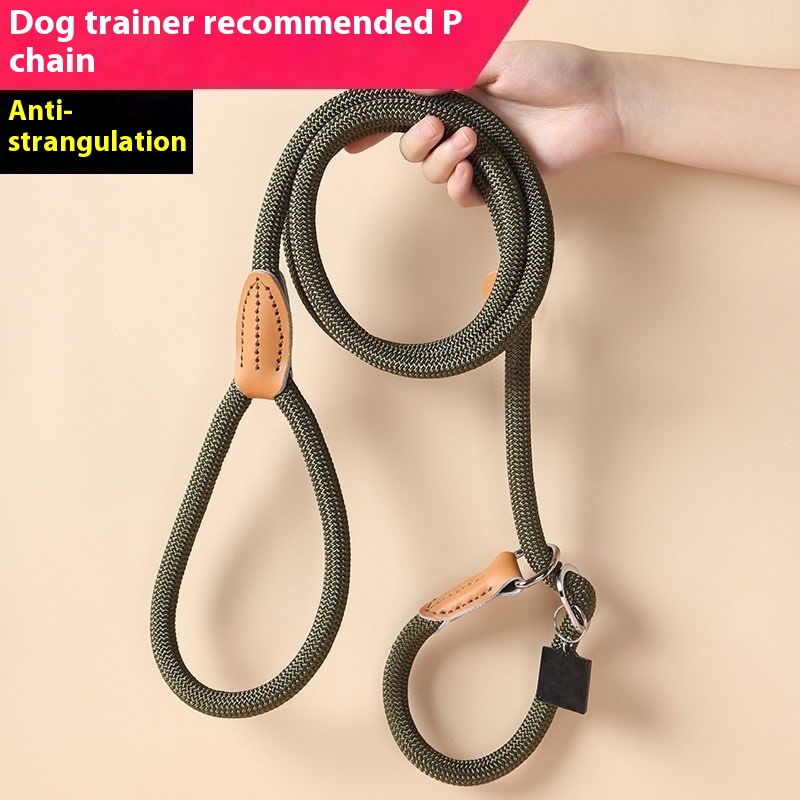 Dog Walking Training Hand Holding Rope view 10