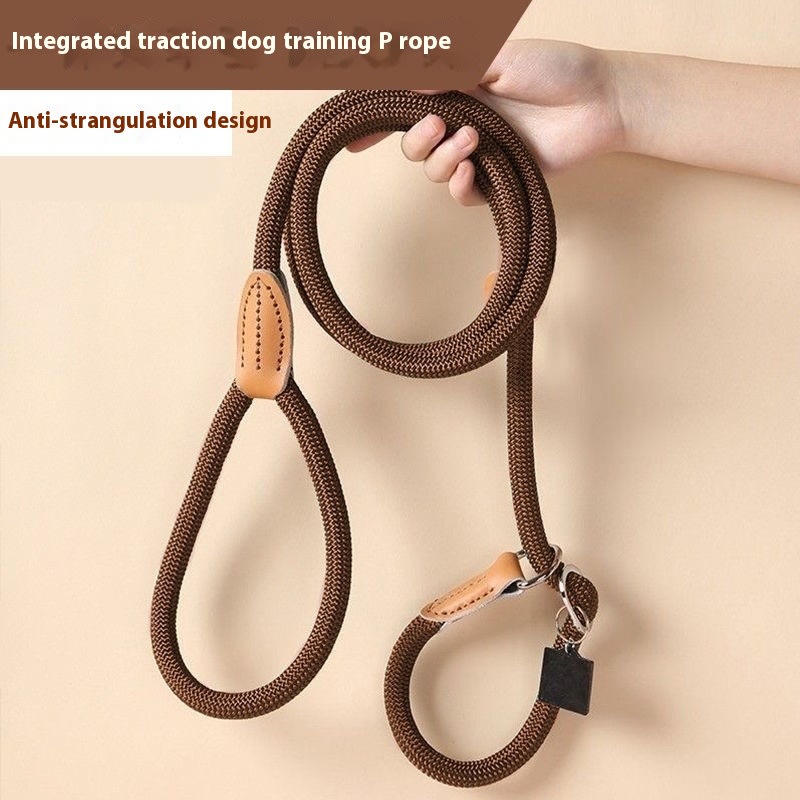Dog Walking Training Hand Holding Rope view 9