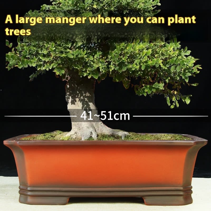 Yixing Purple Sand Flower Pot Extra Large Ceramic Bonsai view 7
