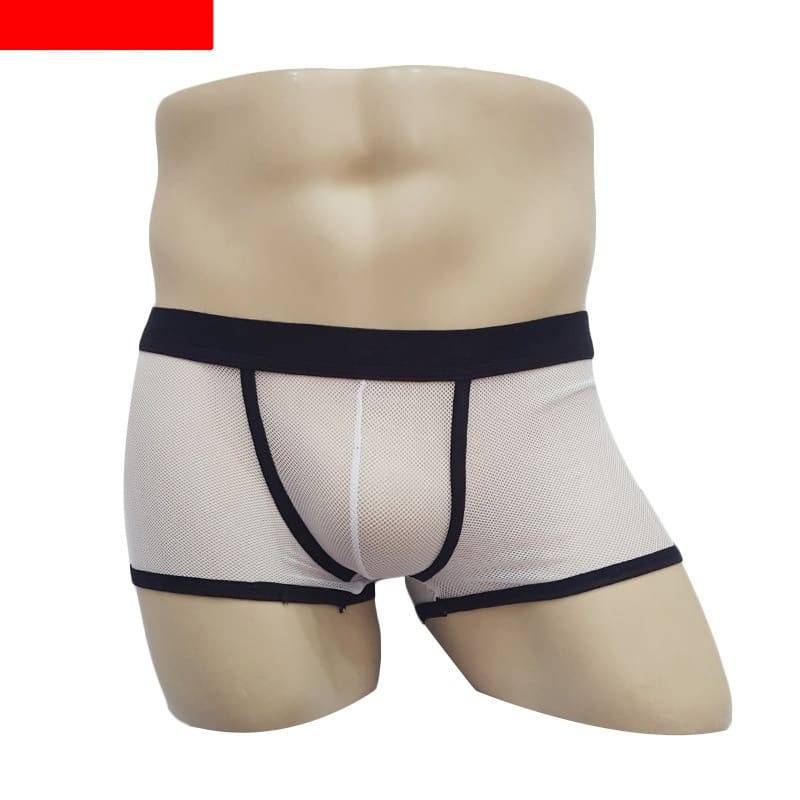 Men's Mesh Transparent Boxers Low Waist view 6