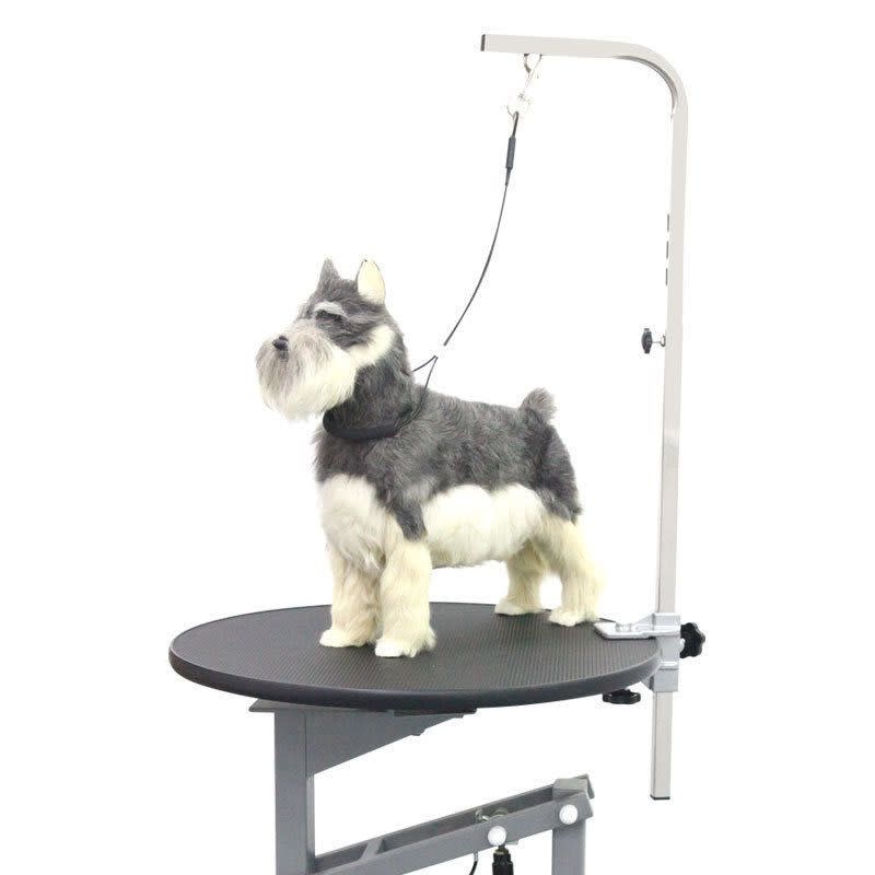 Pet Bath Fixed Rope Steel Wire Beauty Rope Sucker view 12