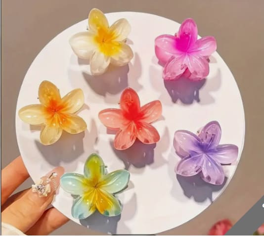 High Sense Plumeria Rubra Seaside Holiday Barrettes view 16