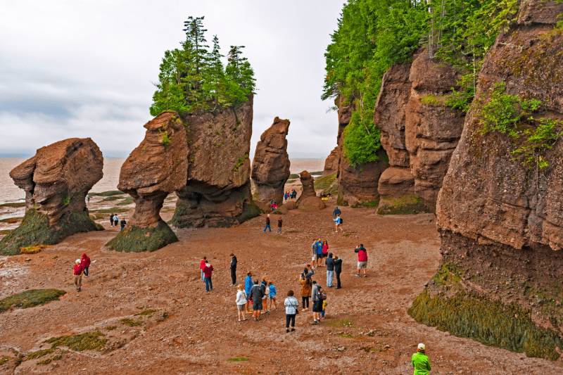 Hopewell Rocks and Bay of Fundy Tour from Saint John