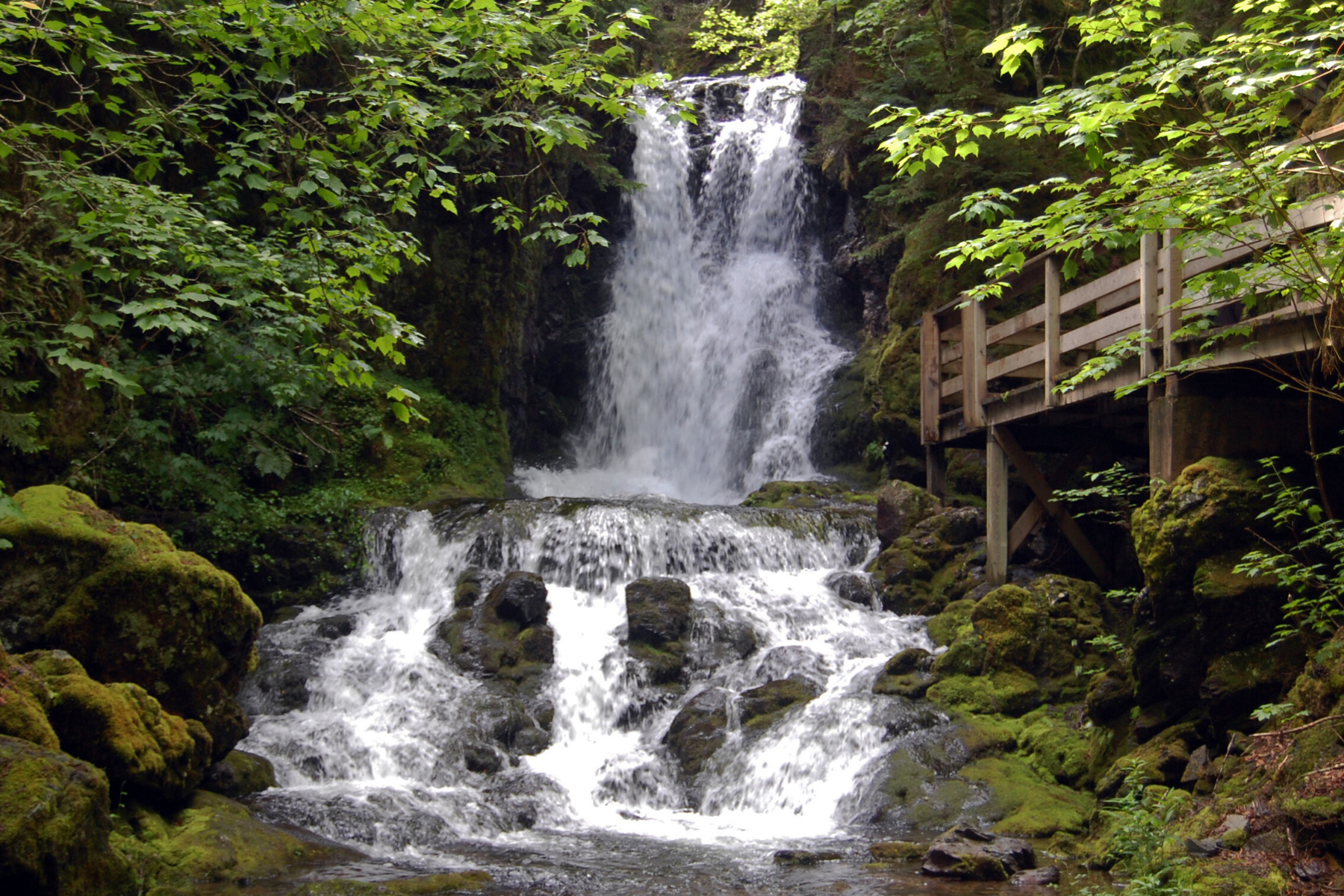 Fundy National Park Reviews