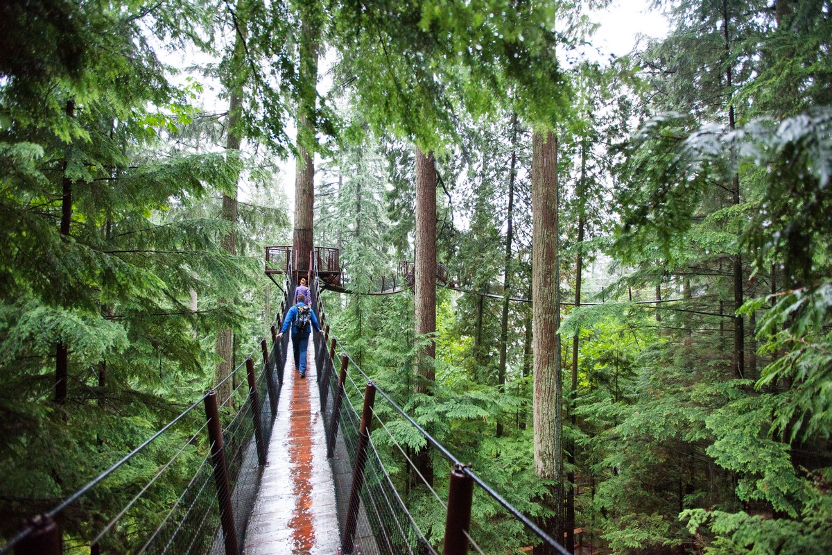 Capilano Suspension Bridge Park  North Vancouver, BC - Tripshepherd