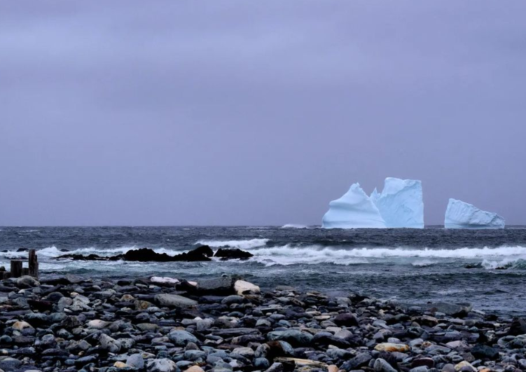 Iceberg Viewing In Newfoundland 2024 Tripshepherd   Image2 Bbc24c73cf 