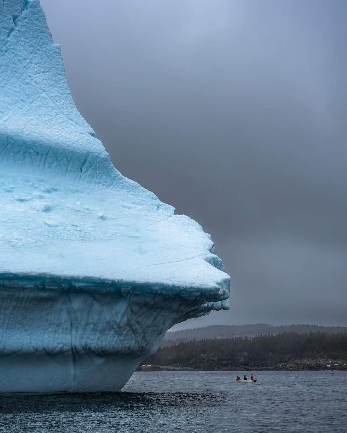 see sight tours newfoundland