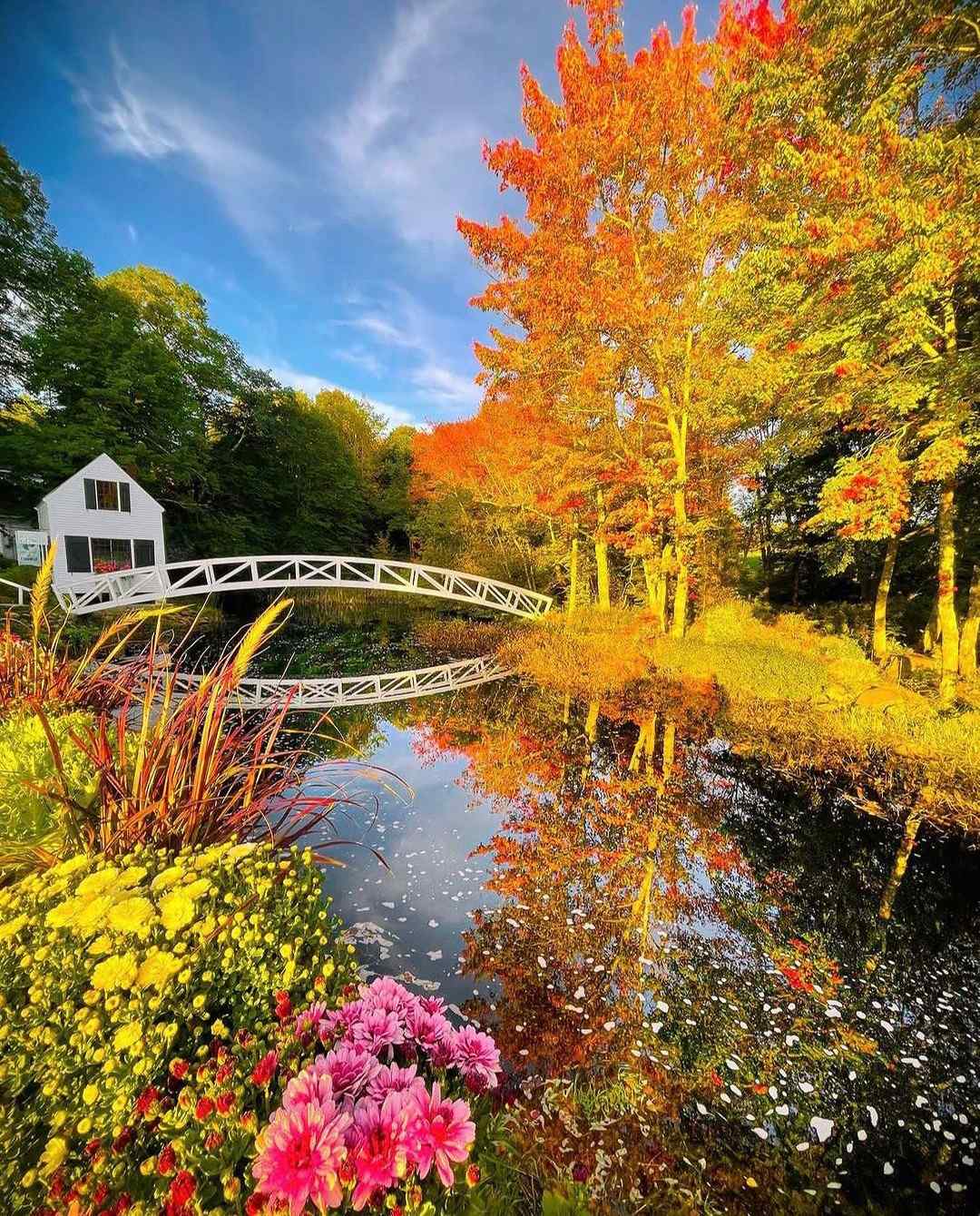 bar-harbor-maine-in-october.jpg