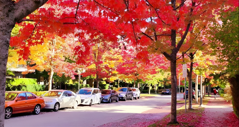 Image 6.png