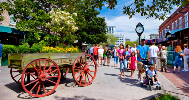 Savannah City Market