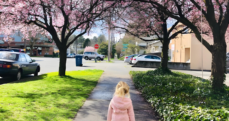 Magic of Cherry Blossoms