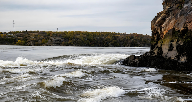 The Reversing Falls Rapids of Saint John