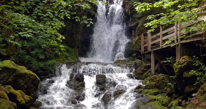 Fundy National Park