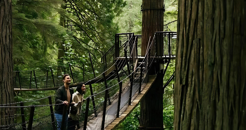 Capilano Suspension Bridge