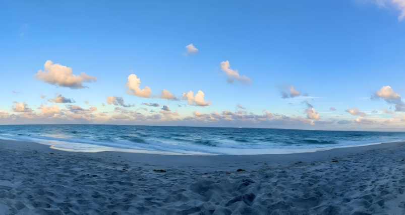 Nature at Hillsboro Beach