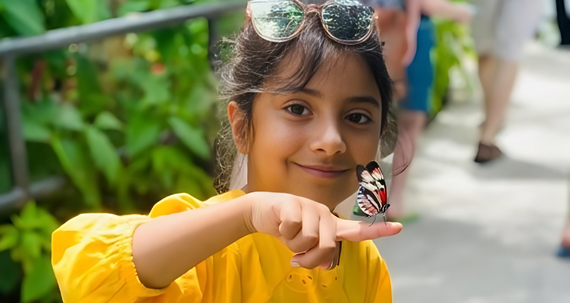 A kid at Butterfly World