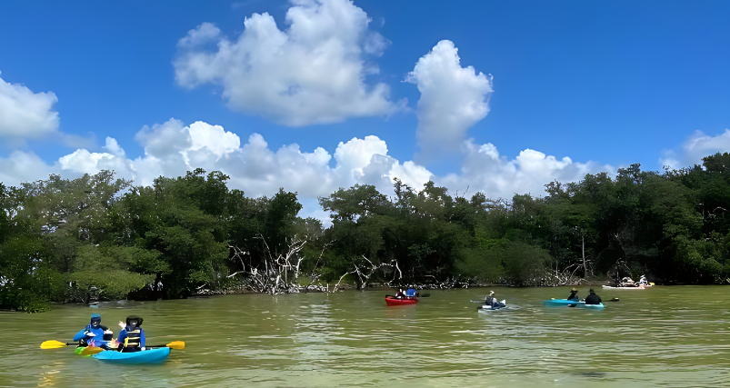 Take an Airboat Ride at Everglades Park