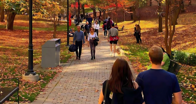 people passing through Walking Track in Toronto