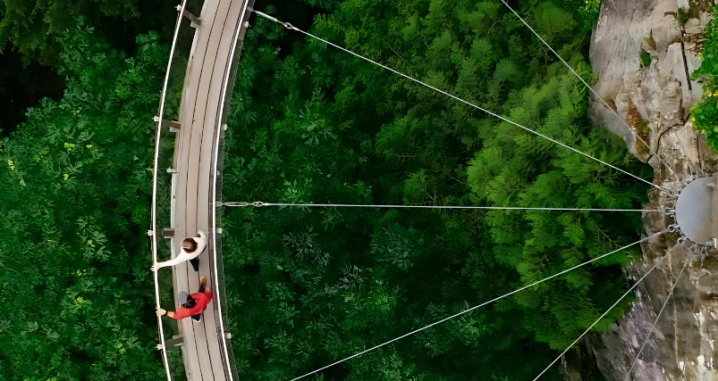 Capilano Suspension Bridge