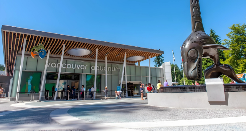 Aquatic Fauna at Vancouver Aquarium