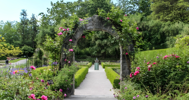 Vandusen Botanical Garden