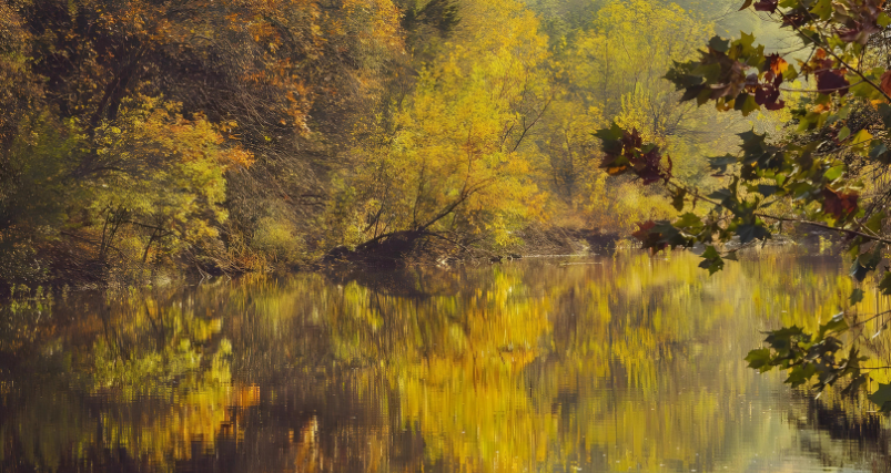 Barton Creek Greenbelt