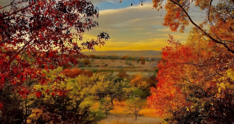 Texas Hill Country