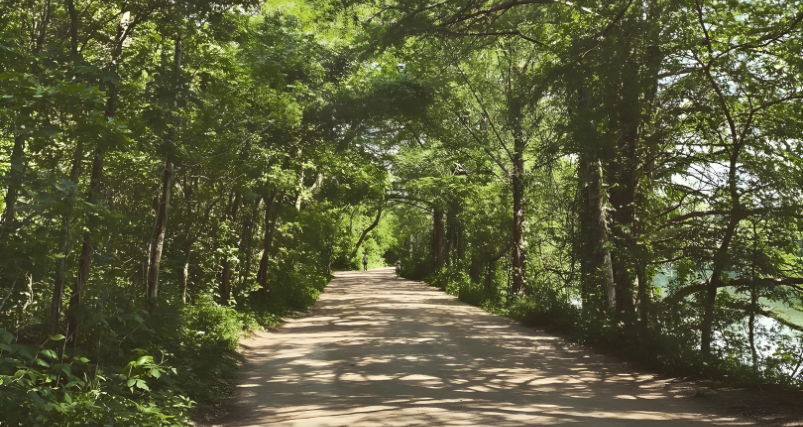 Scenic Bike Tour