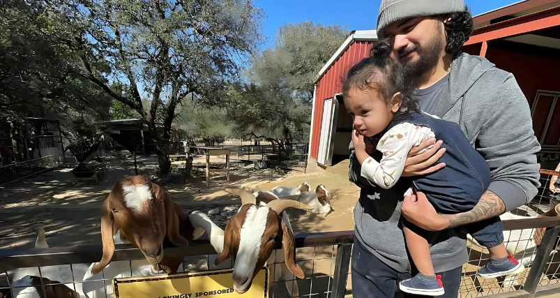 Wild-Life Experience at Austin Zoo