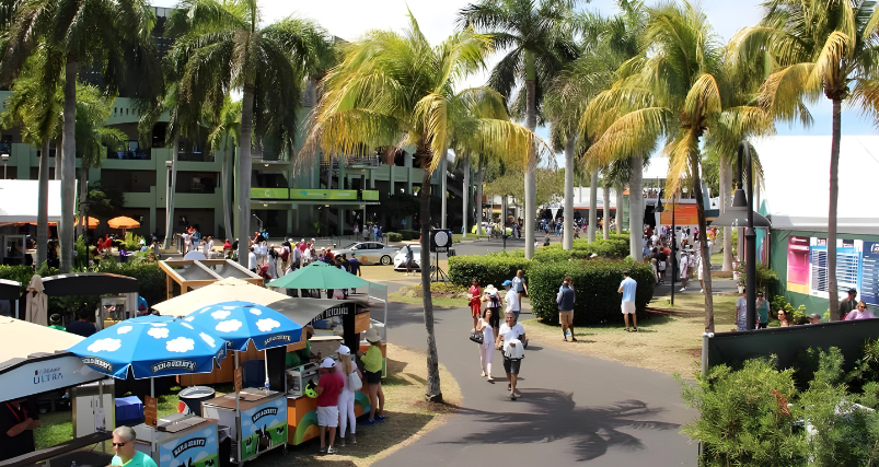 Eco-Adventures at Crandon Park