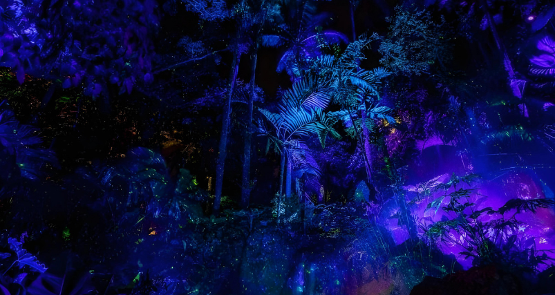 Miami-Night-Experience at NightGarden