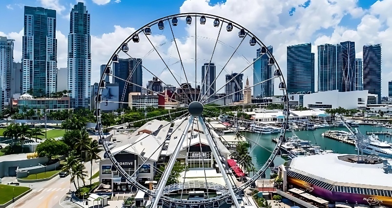 Skyview Miami Wheel