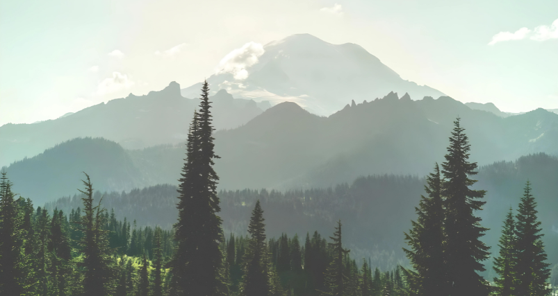 Seattle