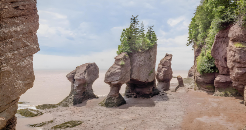 Hopewell Rocks