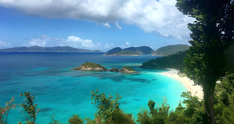 Trunk Bay