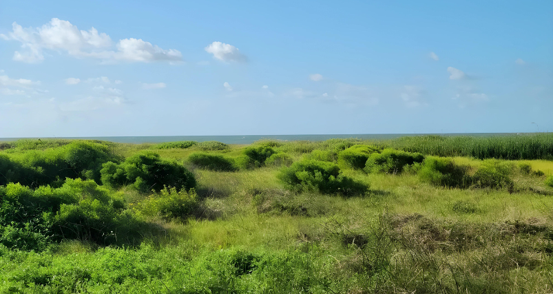 Galveston Island State Park