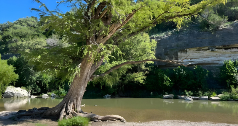 Guadalupe River State Park