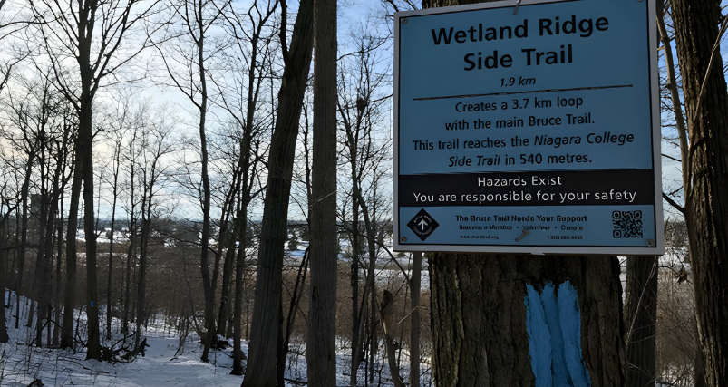 Wetland Ridge Side Trail