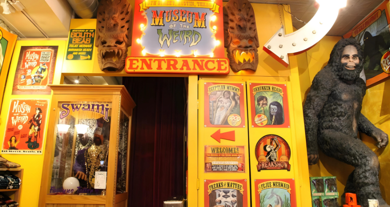 Museum of Weird