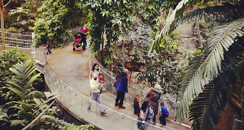 Tourists at Montreal Biodome