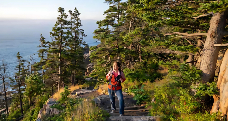 Acadia Night Sky Festival