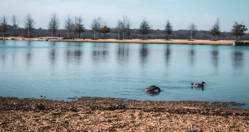 Shelby Farms Park