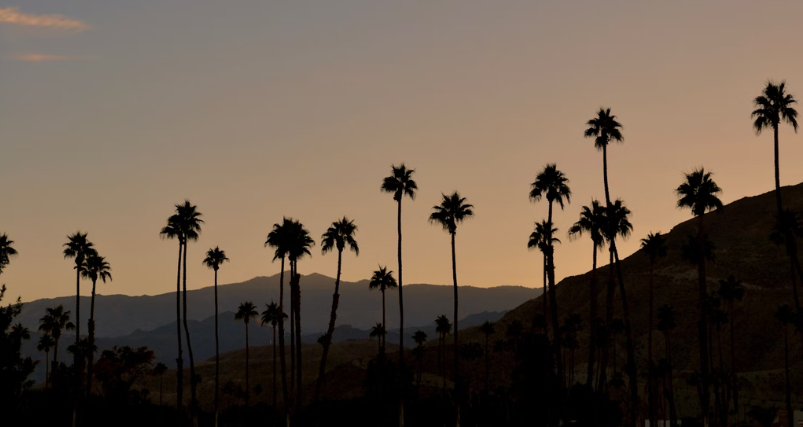 Night view of Palm Springs