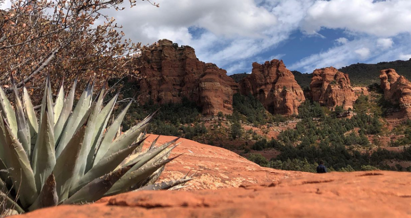 Cow Pies and Hangover Trail