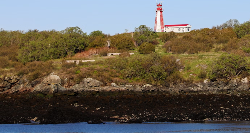 Saint John City View