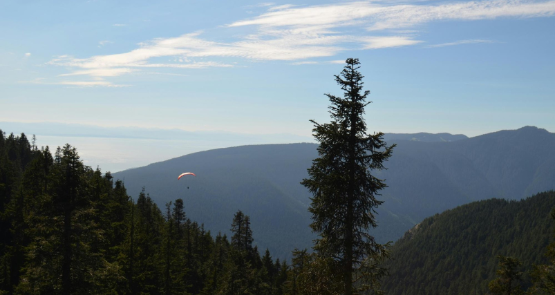Grouse Mountain