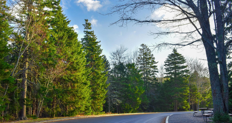 Road